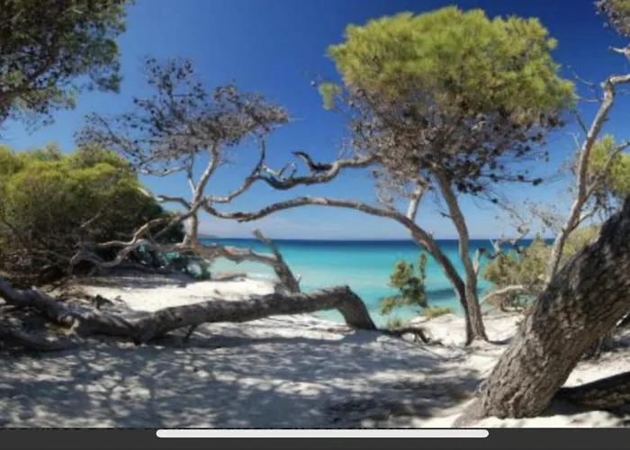 Residence Calme A 2 Km De Saint-Florent