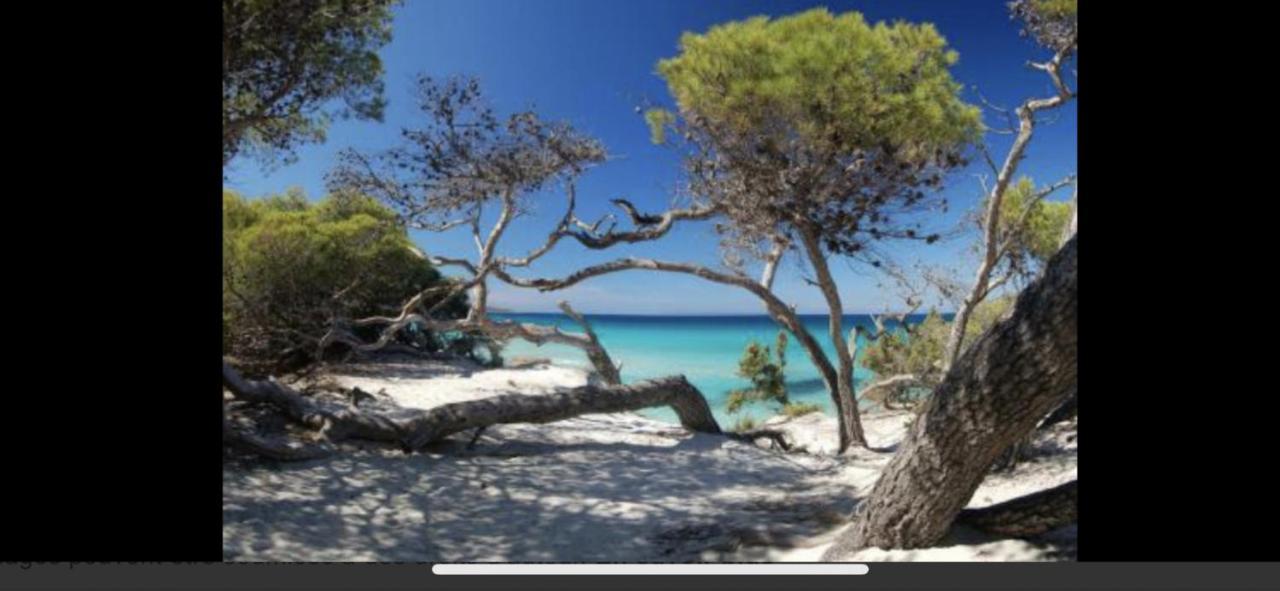 Calme A 2 Km De Saint-florent Oletta (Corsica)