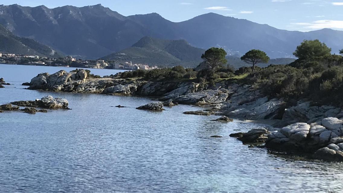 Calme A 2 Km De Saint-florent Apartment